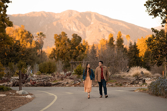 Maribel & David -339