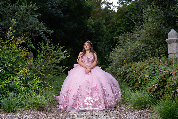DSC04535