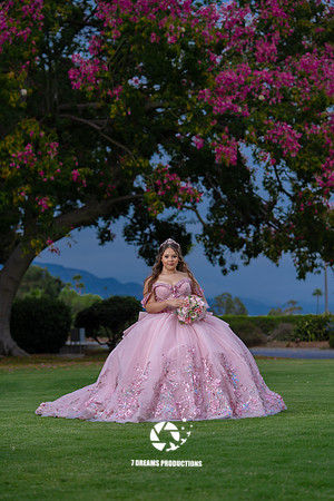 DSC04731