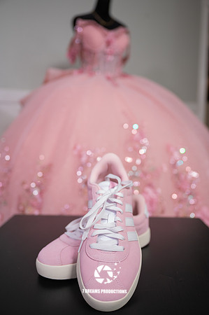 Mis Quince-14