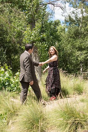 Engagement-214