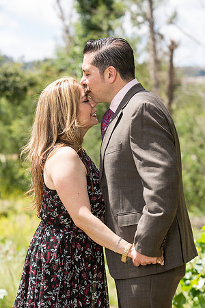 Engagement-199