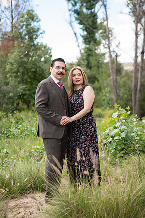 Engagement-132