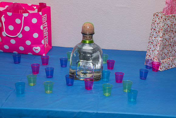 Silvia's Birthday Party-10