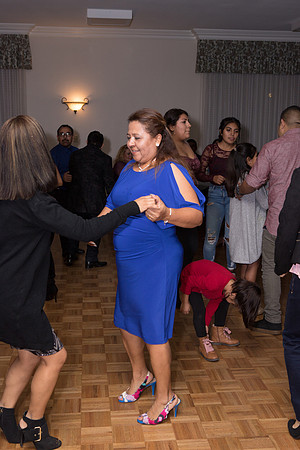 Silvia's Birthday Party